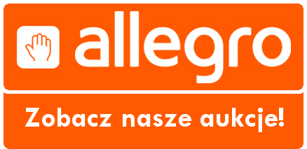 Aukcje Allegro 