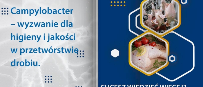 aktualności radex