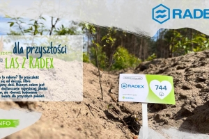 875 drzew w 5 miesięcy ? razem z klientami sadzimy las przyszłości!